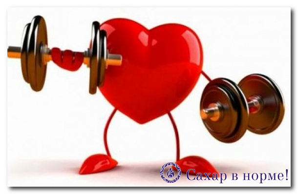 Тому в розвинених країнах карнітин широко застосовується в схемах і курсах лікування серцево-судинних захворювань