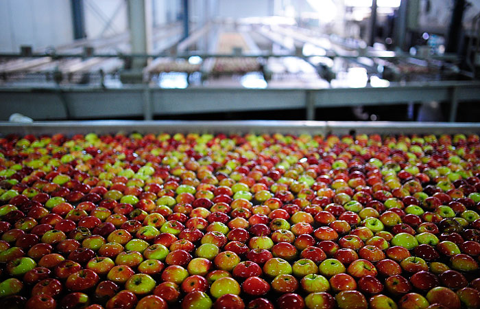 Volga Group купить 40% холдингу по вирощуванню і обробці яблук, створеного колишнім власником Ozon   Фото: Reuters   Москва