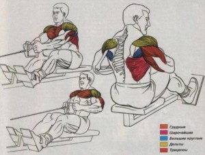 Воно є базовим, адже в залежності від техніки виконання навантаження може лягає не тільки на найширші м'язи спини, але також на грудні, дельти і трапеції