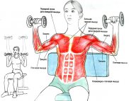 Під час тренування задіюються м'язи тулуба (м'язи живота, і м'яз, що випрямляє хребет), плечового суглоба (вращающая манжета плеча), м'язи лопаток (передній зубчастий, ромбовидні, верхній і нижній пучки трапецієподібного м'яза), а також передпліччя (м'язи-згиначі зап'ястя)