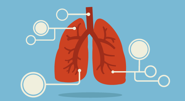 Чтобы оценить силу правильного дыхания, достаточно осознать несколько фактов:   - при глубоком дыхании организм поглощает до 10 раз больше воздуха, чем при мелком дыхании,   - спокойное, глубокое дыхание улучшает работу лимфатической системы,   - более 70 процентов  ненужные вещества и токсины для организма удаляются во время дыхания,   -   мозг   потребляет 80 процентов  кислород вдыхается с воздухом,   - длительное сознательное дыхание задерживает процесс старения,   - без еды вы можете прожить 3 недели, не пить 3 дня и не дышать всего 3 минуты