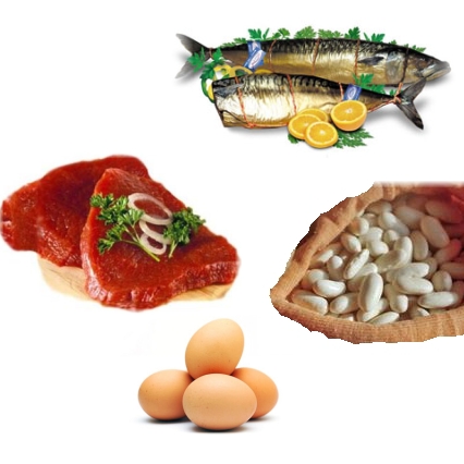 Білки (протеїни) - це складні азотисті сполуки, що складаються з амінокислот